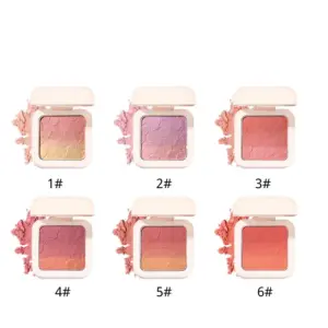 Private Label Embossed Ombre Blush | OEM/ODM Customization