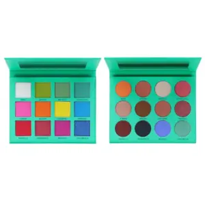 private label 12 color eyeshadow palette with square and round pans
